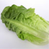 Cos lettuce twin pack