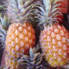 Pineapples (ea)
