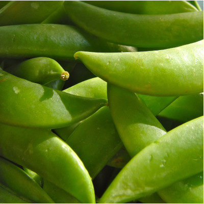 Sugar Snap peas Bag