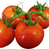 Tomatoes Truss (ea)