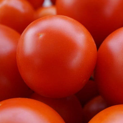 Tomatoes Gourmet (ea)
