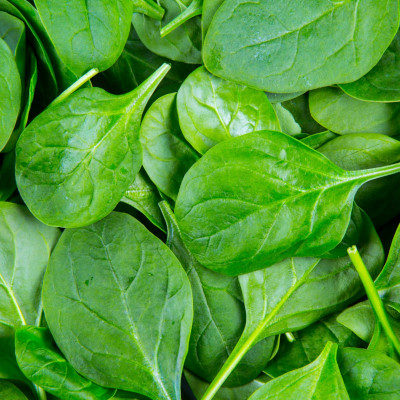 Baby Spinach Bag