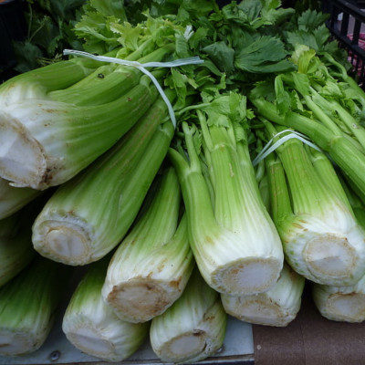 Celery bunch HALF