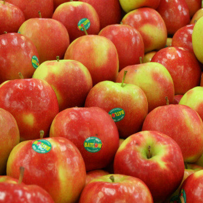 Apple Pink Lady (ea)